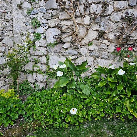 Gardainn Giardino 38A Riva del Garda Exteriér fotografie