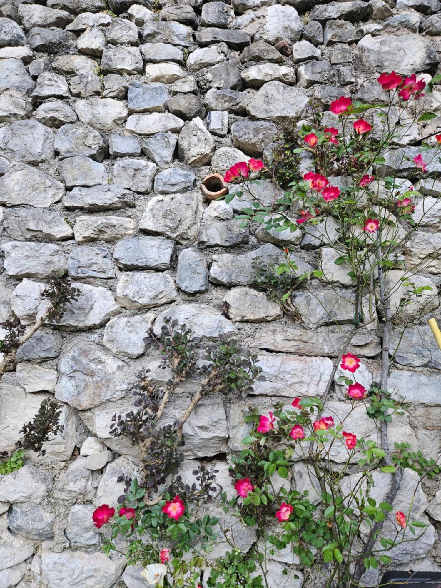 Gardainn Giardino 38A Riva del Garda Exteriér fotografie