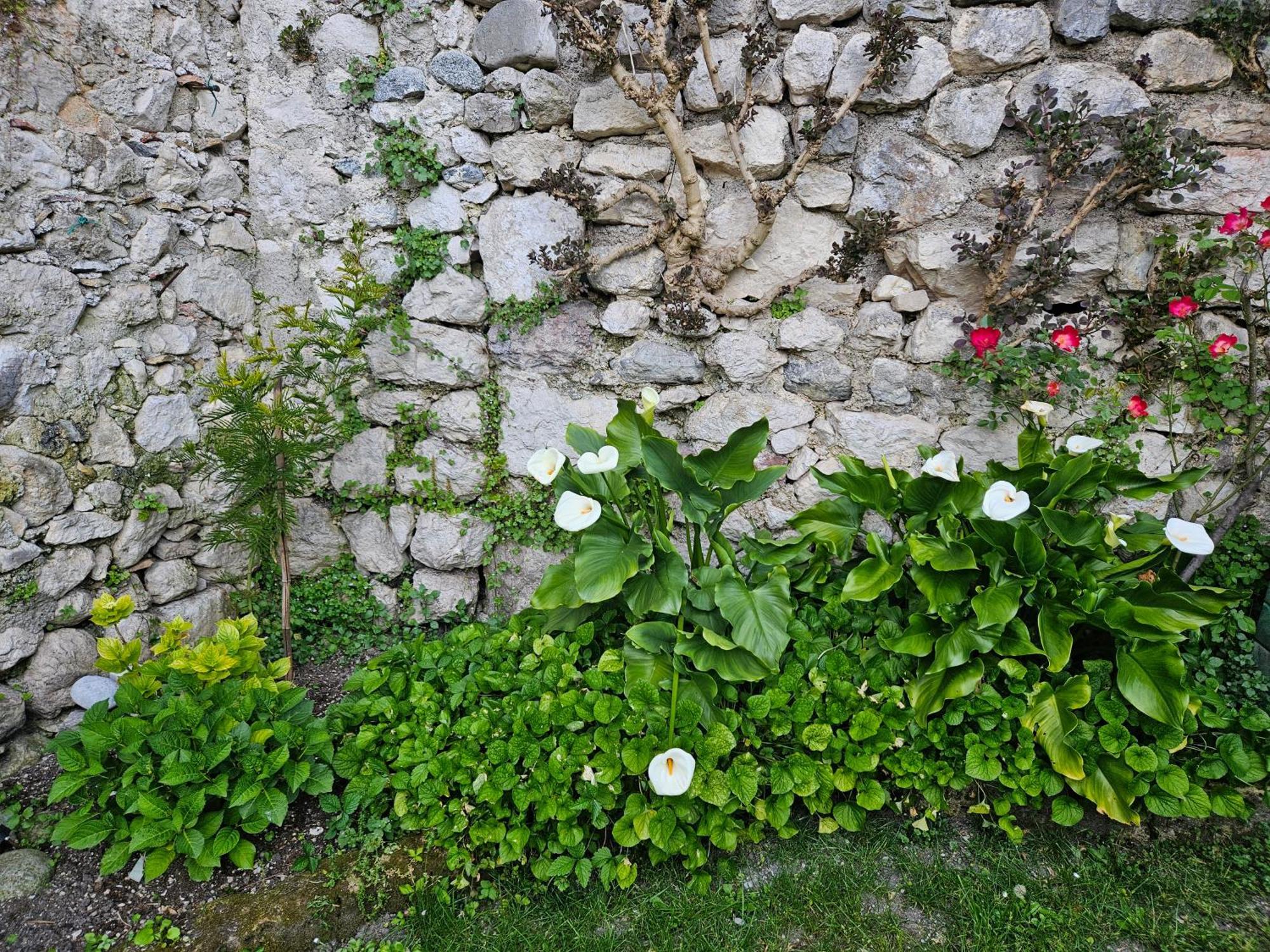 Gardainn Giardino 38A Riva del Garda Exteriér fotografie